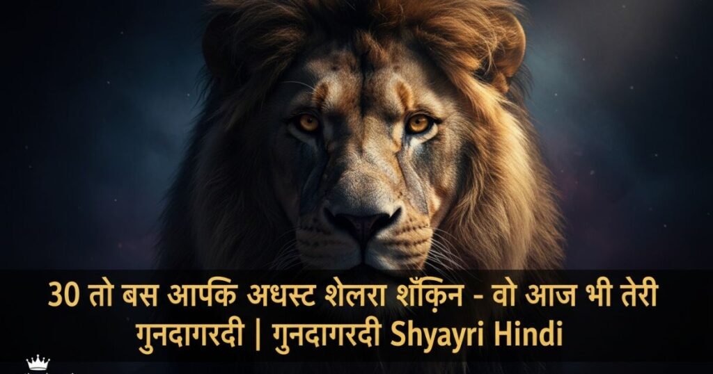 30 तो बस आपकी अभ्यस्त शैली मेरा शौक़ीन – वो आज भी तेरी गुंडागर्दी | गुंडागर्दी Shayari in Hindi