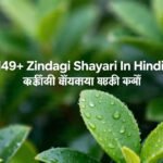 149+ Zindagi Shayari In Hindi | जिंदगी शायरी हिंदी में