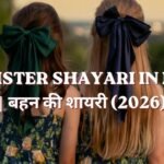 100+ Sister Shayari in Hindi | बहन की शायरी (2026)
