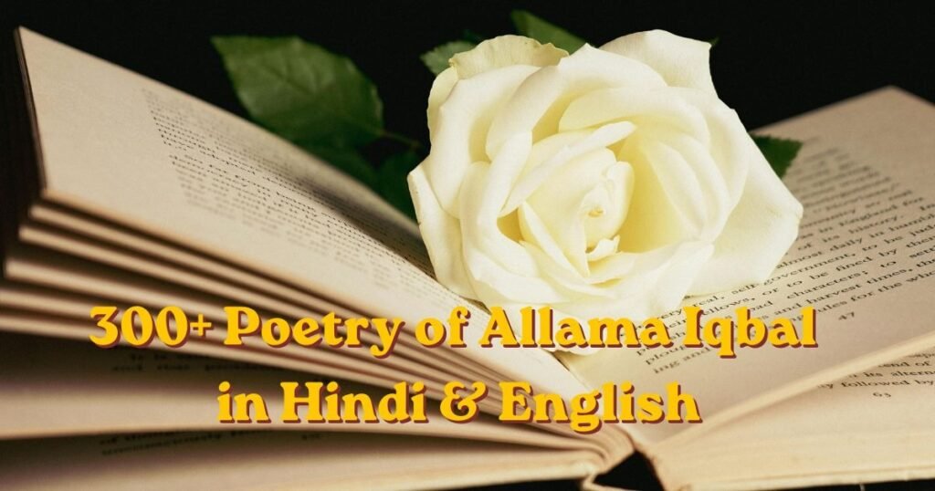 300+ Poetry of Allama Iqbal in Hindi & English