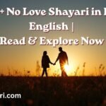 Best 99+ No Love Shayari in Hindi & English | Read & Explore Now 